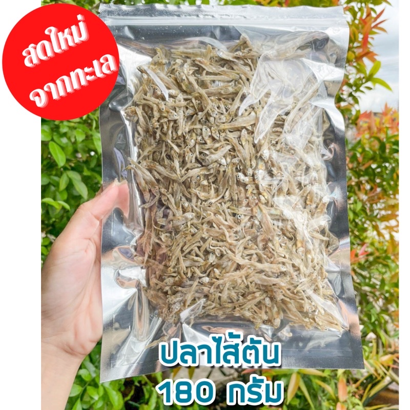 ปลาไส้ตัน-สดใหม่เหมือนมาจากทะเล-ขนาด-180-กรัม