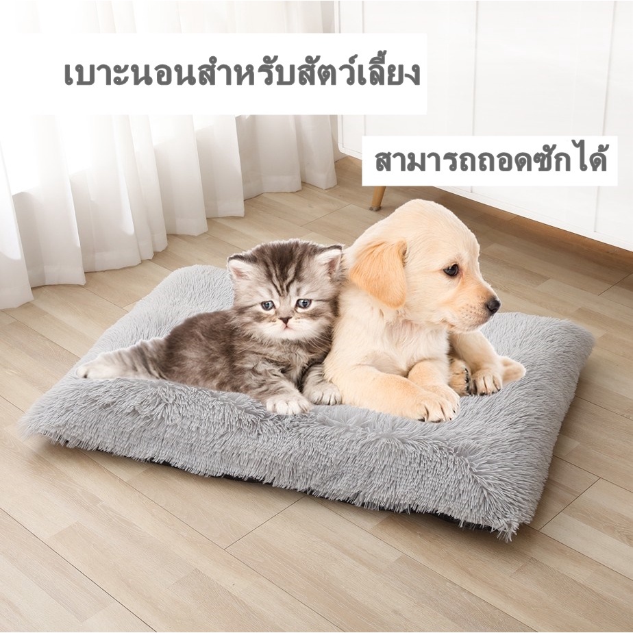 p234-เบาะนอน-สำหรับสัตว์เลี้ยง-แบบถอดซักได้-p234