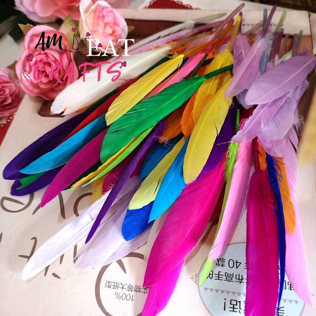 goose-feather-ขนเป็ด-เส้นขนเป็ด-แบ่งขาย-10ก้าน-ขนนก-สีสวย-ขนนุ่ม-มีหลายสี-พร้อมส่ง-ใช้ตกแต่งได้อเนกประสงค์