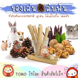 ภาพขนาดย่อของภาพหน้าปกสินค้าร้านโทโมะ (ขั้นต่ำ 50บาท ️) วอลนัท ลูกสน ไม้แอปเปิ้ล ไผ่หวาน ลับฟัน แฮมสเตอร์ ชินชิลล่า กระต่าย เจอร์บิล กระรอก จากร้าน tomopet บน Shopee