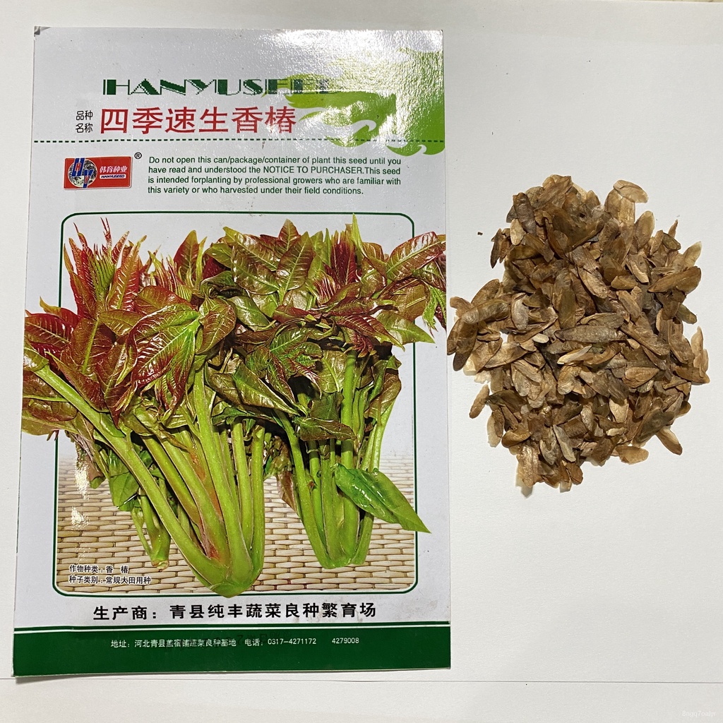 Hybrid Fruits and Vegetable Seeds for Plantingแม่และเด็ก/บ้านและสวน