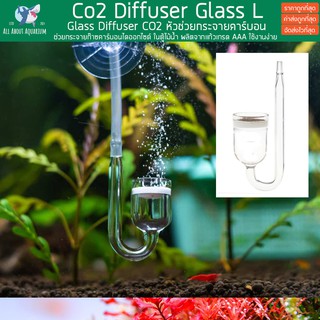 Glass Diffuser CO2 หัวช่วยกระจายคาร์บอนไดออกไซด์ ขนาด 2.5 ซม. หัวดิฟ หัวดิป หัวกระจายคาร์บอน หัวคาร์บอน ตัวกระจายคาร์บอน