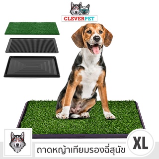 ภาพหน้าปกสินค้า[พร้อมส่ง🇹🇭] PET POTTY ห้องน้ำสุนัข แผ่นซับฉี่สุนัข ถาดฉี่ ห้องน้ำสัตว์เลี้ยง แผ่นฉี่สุนัข Pee Pad Dog Toilet Cleverpet ที่เกี่ยวข้อง