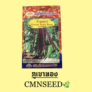 เมล็ดพันธุ์ ถั่วพุ่มม่วง ( PURPLE BUSH BEAN )