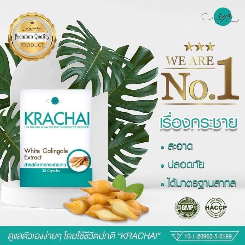 ภาพสินค้าKRACHAI ️สารสกัดกระชายขาวบำรุงปอดเสริมสร้างภูมิคุ้มกัน จากร้าน pakpao_shop บน Shopee ภาพที่ 6