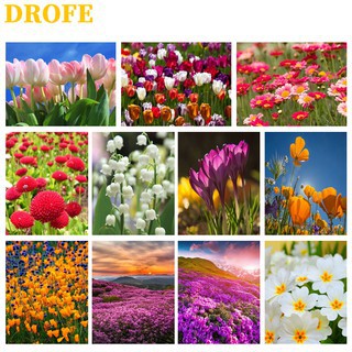 DROFE 【40x50cm】~Beautiful Daisy and lavender painting collection~   Paint by Numbers  wall art/ handmade painting on canvas/as a gift