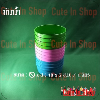 ขันน้ำพลาสติก ขนาดเล็ก และ ขนาดกลาง ขายยกโหล ขาย แพค 12 ใบ จากร้าน  cuteinshop