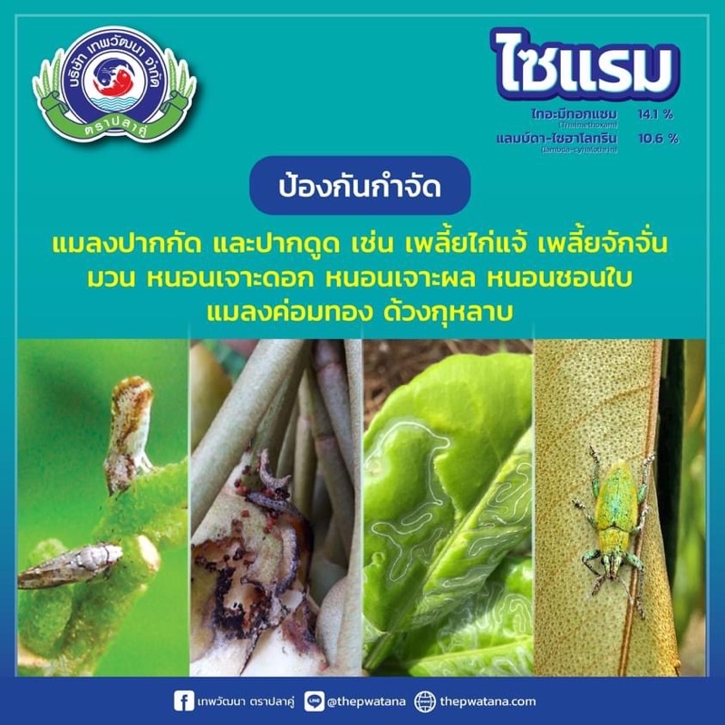 ไซแรม-สารป้องกันกำจัดแมลงสูตรใหม่