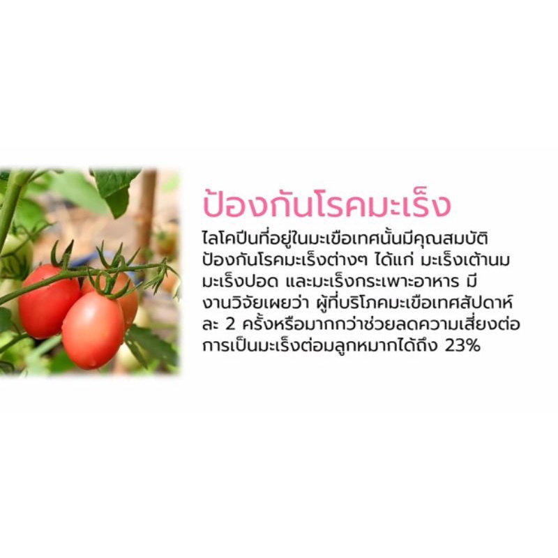 ภาพสินค้ามะเขือเทศ​ สกัด​แบบ​ Spray.dried ดอยอ่างขาง​ อย.50-2-02661-5-0014​ ขนาด​500มก.​50แคปซูล​ ผิวพรรณ​ ภูมิคุ้มกัน​ สายตา​ จากร้าน nuchy.a บน Shopee ภาพที่ 2