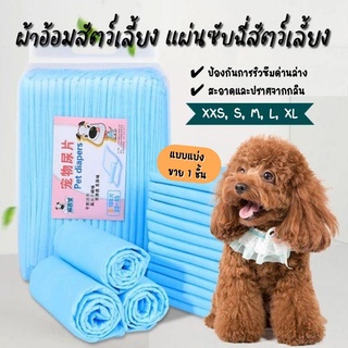 ภาพหน้าปกสินค้า4PETS ผ้าอ้อมสัตว์เลี้ยง แผ่นซับฉี่สัตว์เลี้ยง แผ่นรองขับถ่าย แผ่นรองซับกระบะทราย (แบ่งขาย 1 ชิ้น ไม่มีขั้นต่ำ!!) ที่เกี่ยวข้อง