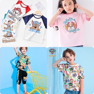 ภาพหน้าปกสินค้าเสื้อยืดเด็ก Paw patrol🐶 🔥Sale ลดล้างสต็อค🔥 ที่เกี่ยวข้อง