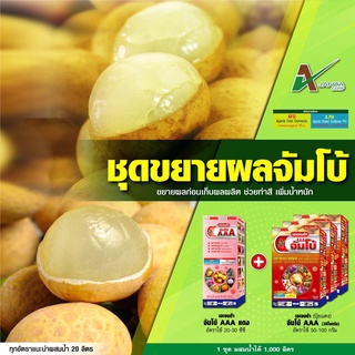 ขยายผลจัมโบ้ลำไย ระยะก่อนเก็บ เอเจนต้า ขยายผลก่อนเก็บ 15-30 วัน เร่งขยายลูก ผิวเหลืองสวย (ขนาด 1 ลิตร + 3 กิโลกรัม)