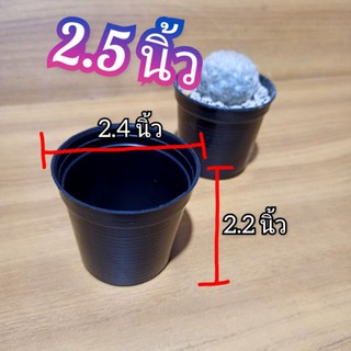 ราคากระถางกลม 2.5 นิ้ว ส่งจากกรุงเทพ กระถางพลาสติก กระถางกระบองเพชร กระถางแคตตัส