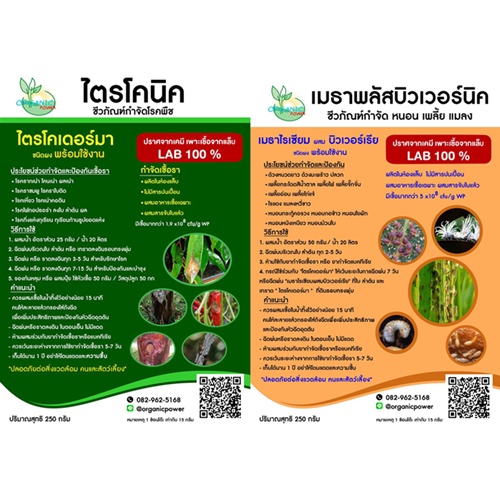 ชุดกำจัดเชื้อราและแมลง-250-กรัม-ไตรโคเดอร์มา-เมธาไรเซียมผสมบิวเวอร์เรีย