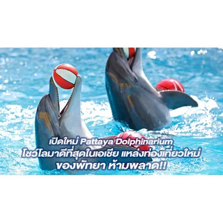 ภาพขนาดย่อของภาพหน้าปกสินค้าPattaya Dolphinarium **ส่งเป็น Code เท่านั้นค่ะ** โลมาโชว์ จากร้าน sarocha2178 บน Shopee