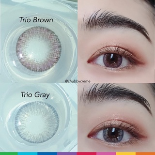 🆕 Maxim Contact Lens รุ่น Trio กล่องน้ำเงิน [0.00 to -10.00] [สอบถามค่าสายตาได้ในแชท]