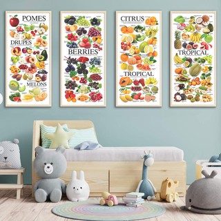 โปสเตอร์ผลไม้ 4 แผ่น108 ชนิด เสริมพัฒนาการ Nerdy Owl Fruits Posters