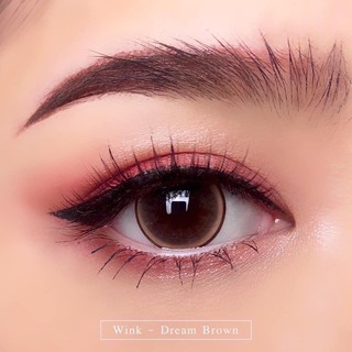 Wink Lens Dream Brown (2) บิ๊กอาย สีน้ำตาล น้ำตาล ขอบบาง คอนแทคเลนส์ Contact Lens ค่าสายตา สายตาปกติ แฟชั่น สายตาสั้น