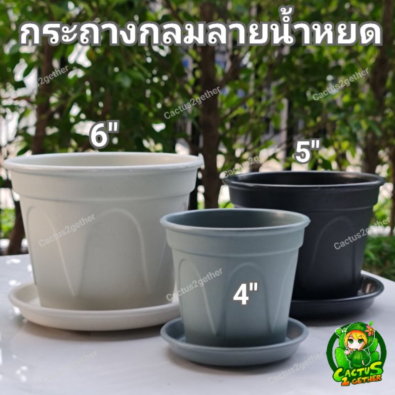 กระถางกลมลายน้ำหยดพร้อมจานรองขนาด4-6-นิ้ว