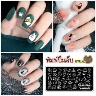 แผ่นปั๊มลายเล็บ เพลทปั๊มเล็บ เพลทแสตมป์ลายเล็บ