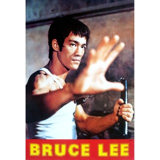 โปสเตอร์ ดารา หนัง บรูซลี Bruce Lee Poster - The Way of the Dragon POSTER 21"x31" KUNG FU FIGHTING v10