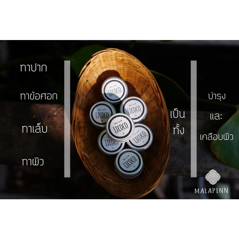 LICOCO by De La Bua ลิปบาล์มกะทิสูตรโบราณ | Shopee Thailand