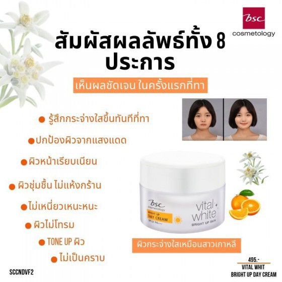 bsc-vital-white-bright-up-day-cream-spf20-pa-ช่วยปรับผิวให้กระจ่างใส-เติมความชุ่มชื่น-และปกป้องผิวจากแสงแดด-30-กรัม