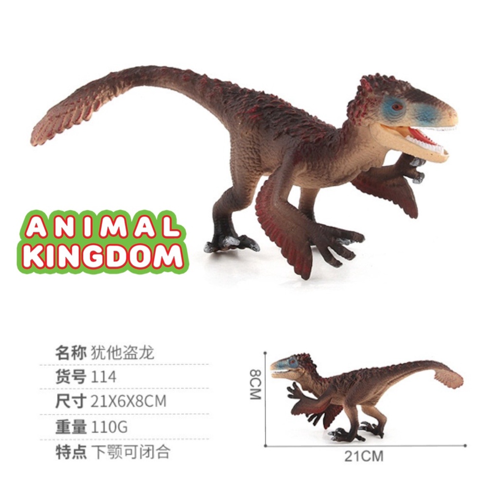 animal-kingdom-โมเดลไดโนเสาร์-utharaptor-ขนาด-28-00-cm-จากหาดใหญ่