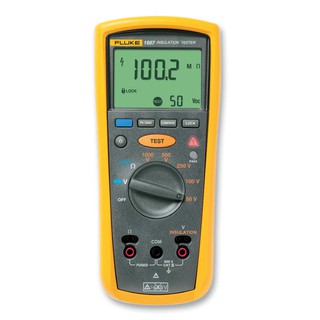 FLUKE 1507 Insulation Resistance Testers