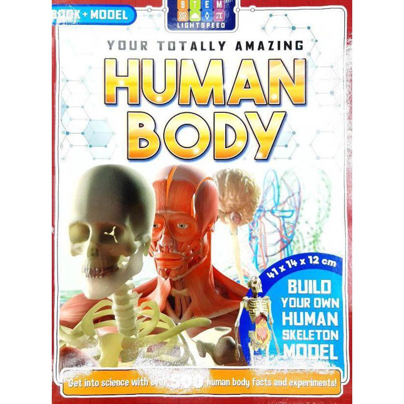 Stem Lightspeed: Your Totally Amazing Human Body (Box) หนังสือเด็ก ภาษา ...