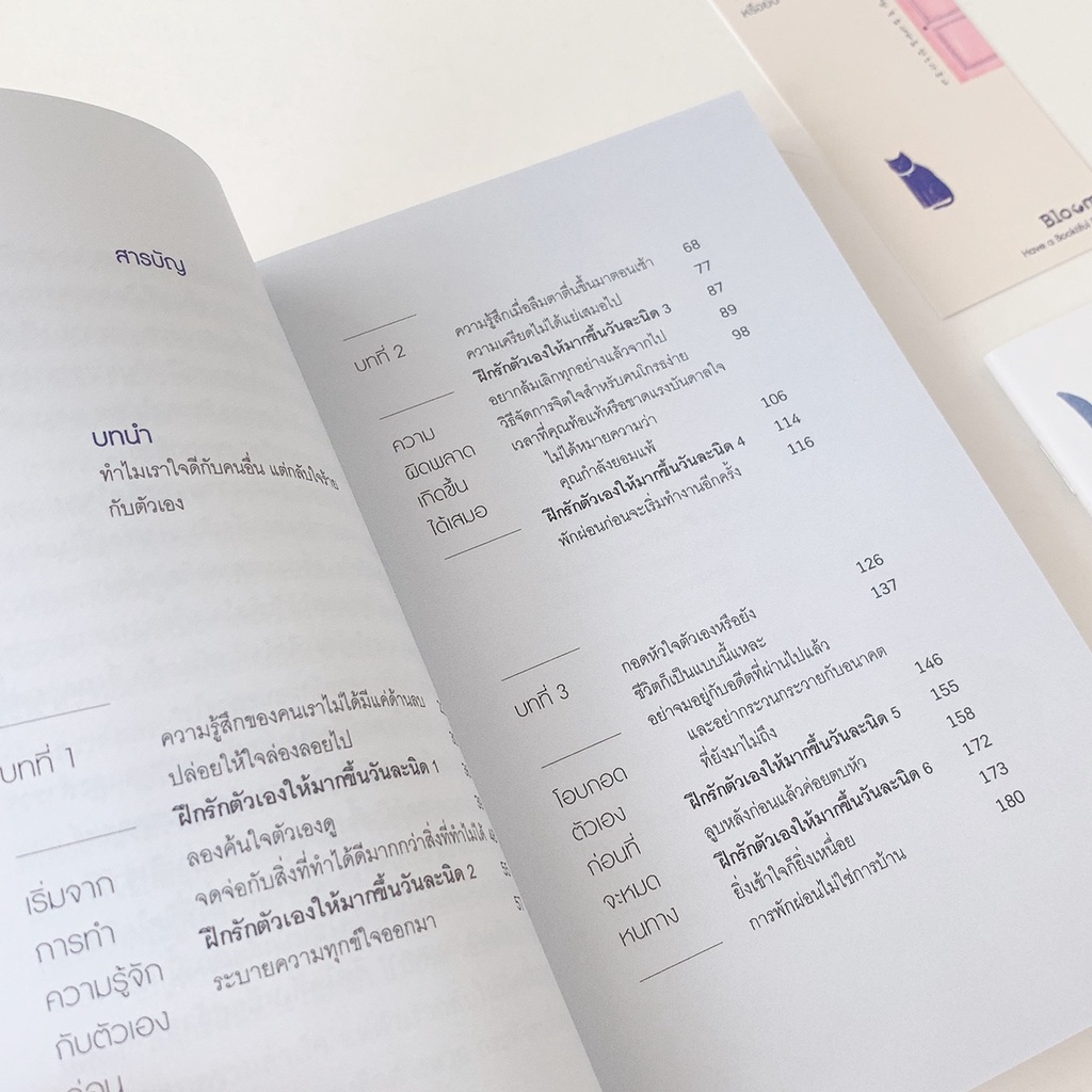 หนังสือ-เหนื่อยไหม-กอดหัวใจตัวเองรึยัง-ไม่มีของพรีเมียมนะคะ