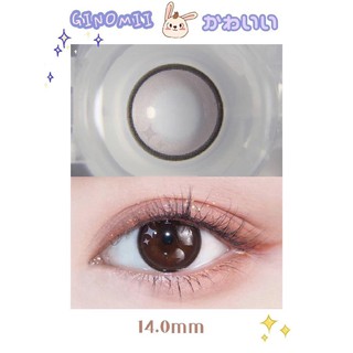 (1pair)(20.MAY.5)FES Series,14.0mm，Xiyou Brand,,(grade0.0-8.0),Contact Lens yearly use(brown)