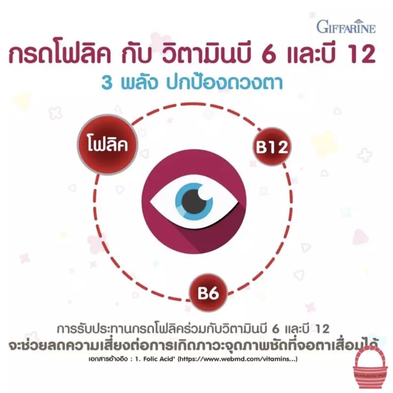 นูทริ-โฟลิค-บำรุงเลือด-ดูแลผู้ป่วยธารัสซิเมีย-วิตามินซี-b1-b6-b12-กรดโฟลิค-giffarine-nutri-folic-ขนาด-60-แคปซูล