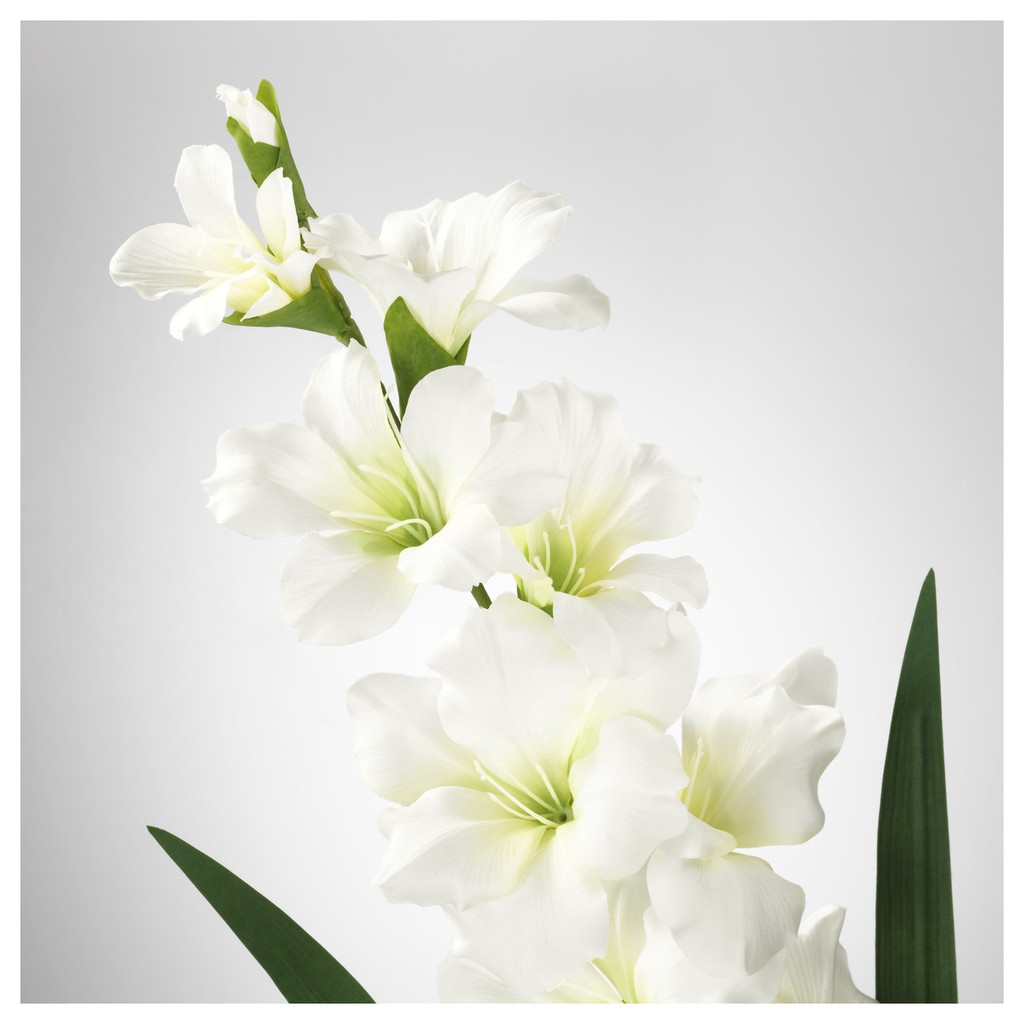 ดอกไม้ประดิษฐ์-ดอกแกลดิโอลัส-ขาวsmycka-สมึคก้า