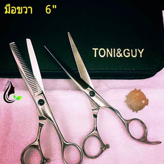 TONI&GUY ชุดกรรไกรตัด-ซอย (มือขวา) 6