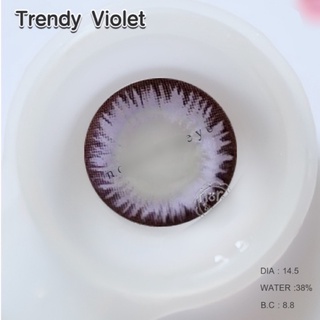 Trendy Violet บิ๊กอาย สีม่วง Pretty Doll คอนแทคเลนส์ Contact lens สายตาสั้น ค่าสายตา เน้นขอบ ตาโต โทนแบ๊ว แฟชั่น