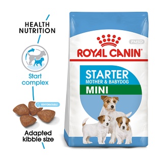 Royal Canin Mini Starter (1 kg) อาหารสุนัขสำหรับแม่และสำหรับลูกสุนัขพันธุ์เล็ก ขนาด 1 กิโลกรัม