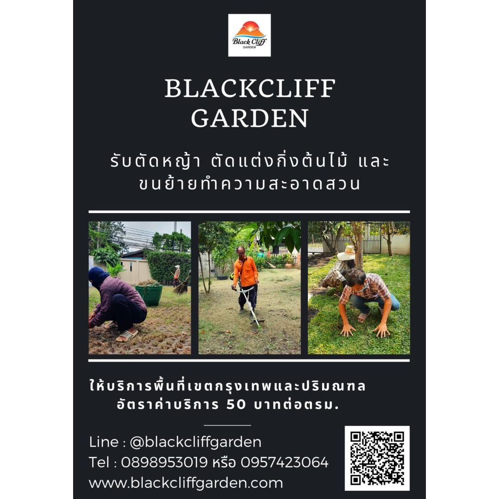 กระเช้ากล้วยไม้แปดเหลี่ยม-10-นิ้ว-ซม-สวนเขาหมาก-blackcliffgarden