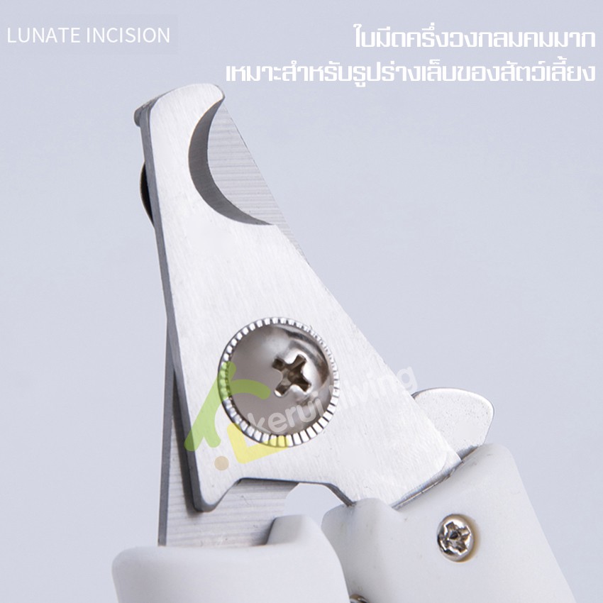dog-nail-clippers-cat-nail-clippers-คีมตัดเล็บ-ที่ตัดเล็บ-แบบปากคีม-คมมาก-ไม่ทำให้สัตว์เลี้ยงเจ็บ-ตัดง่าย-พกพาสะดวก