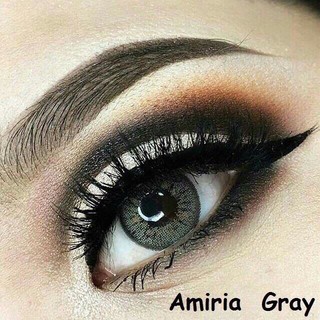 Amiria Gray (2) มินิ สีเทา เทา ทรีโทน Pretty Doll ตาฝรั่ง สายฝอ ค่าสายตา Contact Lens Mini คอนแทคเลนส์ แฟชั่น สายตาสั้น