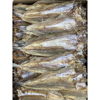 ภาพหน้าปกสินค้าปลาแห้งทะเล ปลาช่อนใหญ่คัดสวย ปลาจิ้กโก๋ ที่เกี่ยวข้อง