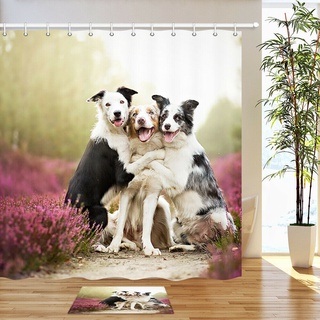 ผ้าม่านอาบน้ําลายตลก Hugging Border Collies ตกแต่งห้องน้ํา