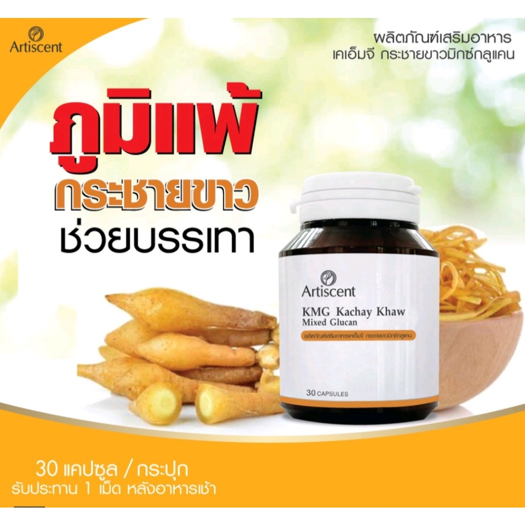 kmg-kachay-khaw-miexed-glucan-เคเอ็มจี-กระชายขาว-มิกซ์กลูแคน-artiscent