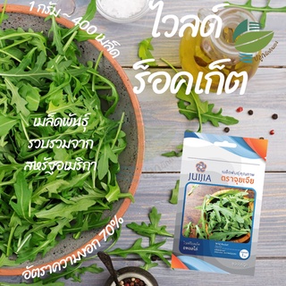 ไวลด์ร็อกเก็ต (Wild Rocket) #เมล็ดผักสลัด