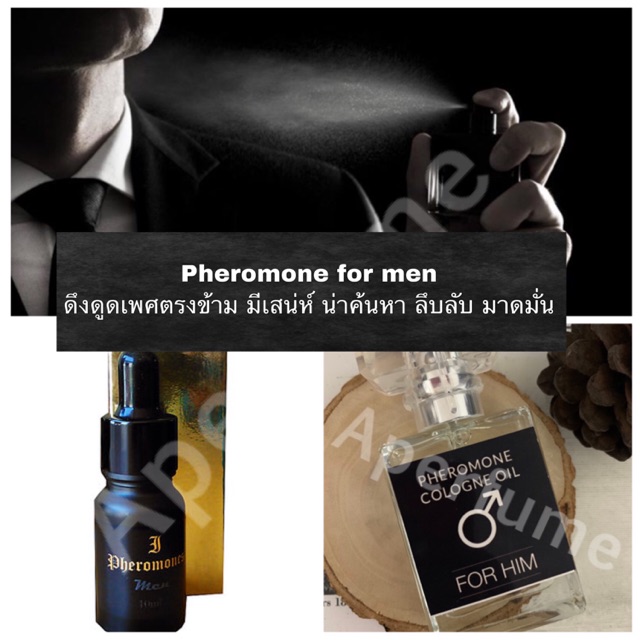 พร้อมส่ง-น้ำหอม-pheromone-for-men