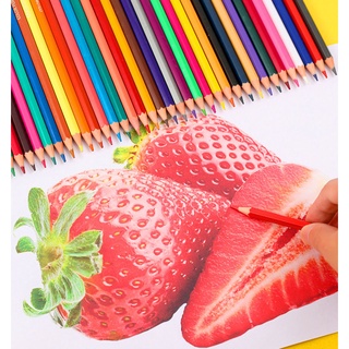 24 สี/48 สี แบบขวด ดินสอสี ไม้ ปากกาสีไม้ ดินสอสี แบบใหม่