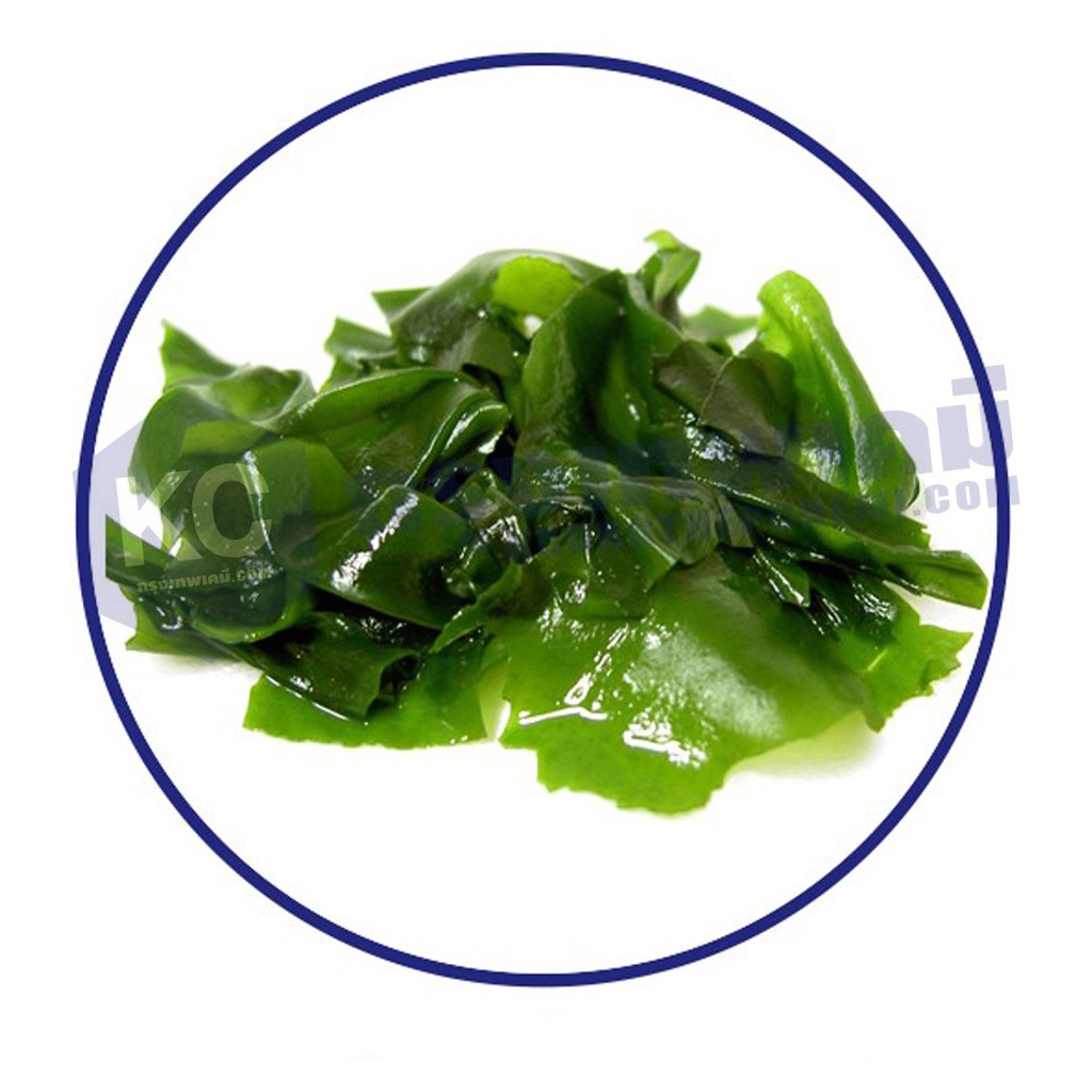 ภาพหน้าปกสินค้าT032SW-100G Seaweed Extract : สารสกัดสาหร่ายทะเล 100 กรัม จากร้าน krungthepchemi บน Shopee