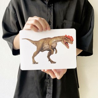 แฟลชการ์ด ไดโนเสาร์ แผ่นใหญ่ Flash card Dinosaur KP062 2WinBookToys