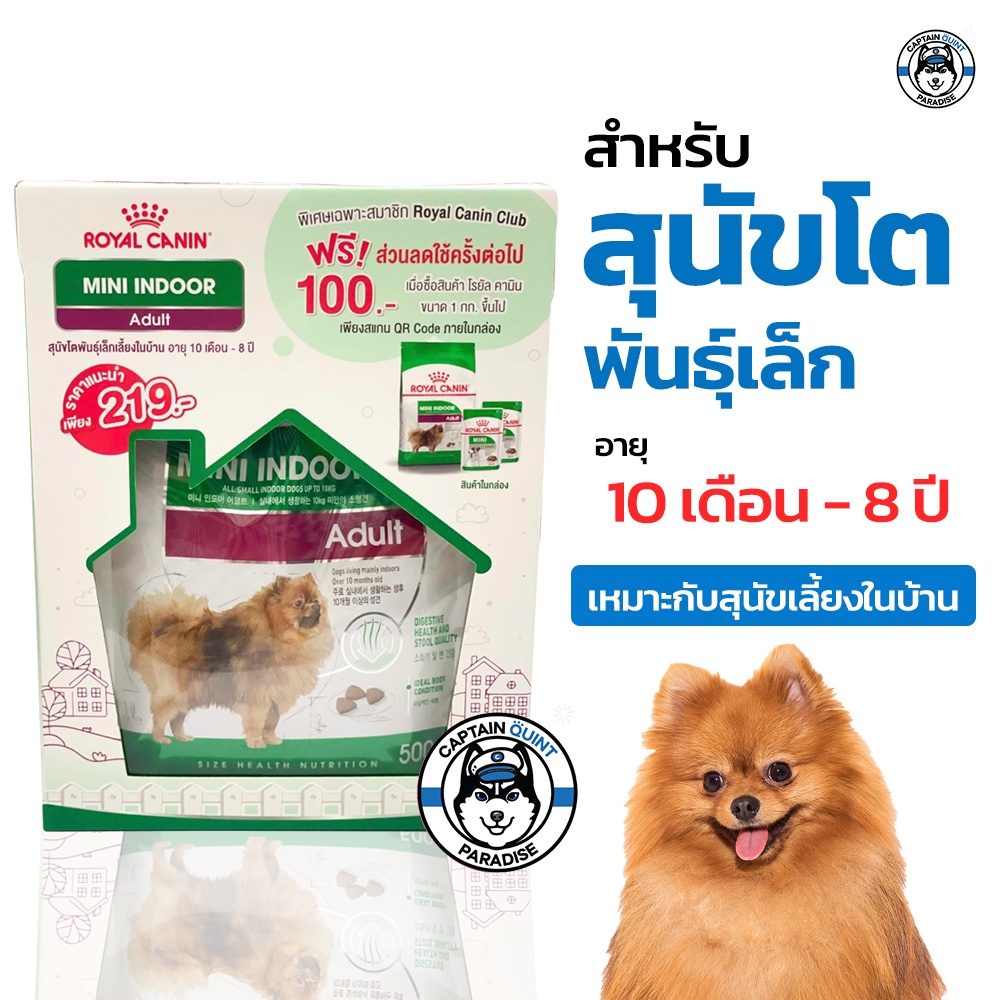 royal-canin-mini-indoor-500g-เลี้ยงในบ้าน-สุนัขโตพันธุ์เล็ก-แถมฟรีอาหารเปียก-2-ซอง