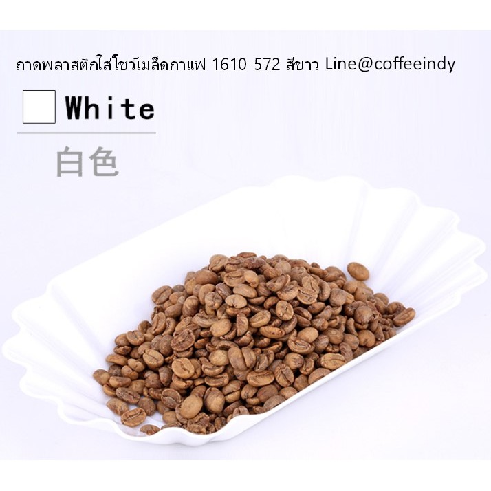 ถาดพลาสติกใส่โชว์เมล็ดกาแฟ-1610-572-สีขาว-ขนาด-22-3-13-3-5-ซม